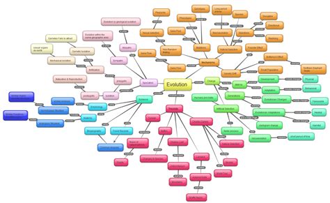 Concept Map Of Evolutionary Theory United States Map