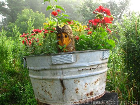 Plant Combinations In Containers For 2008