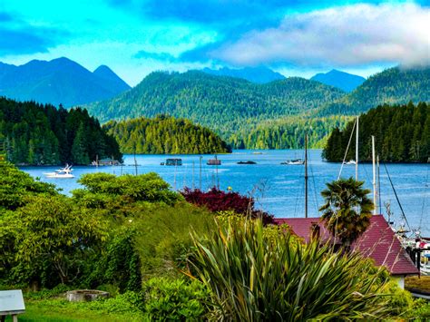 Top 5 Things To Do In Tofino British Columbia In The Summer