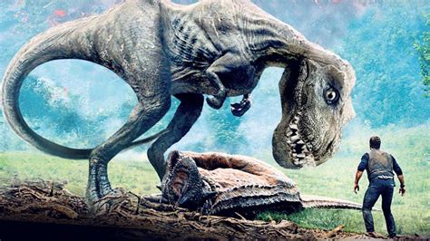 From the latin rēx (king), referring originally to rabbits of the belgian castorrex breed, so named because their fur was similar to that of beavers. Palaeontologists reassess T-rex and find it wasn't as heavy as we thought | KidsNews