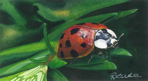 Ladybug Painting By Ronald Wilkie Pixels