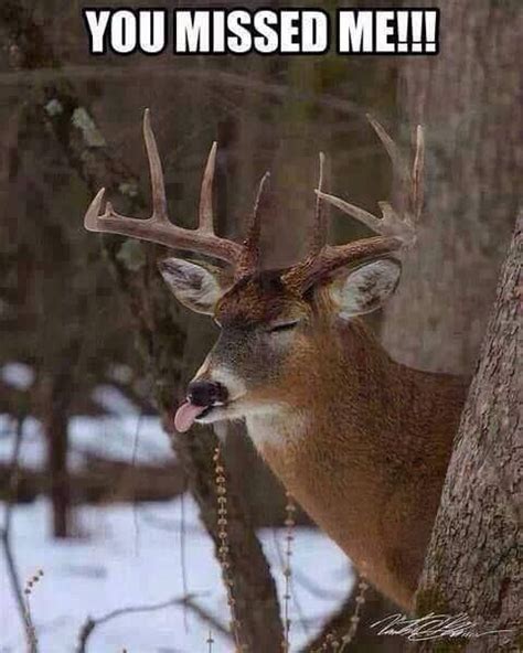The 20 Best Deer Hunting Memes So Far Hunting