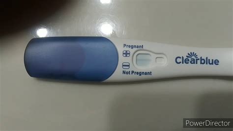 Pregnancy Test Live 9 Dpo Live Youtube