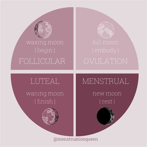 Phases Of The Moon And Woman Womb Healing Menstrual Health Menstrual