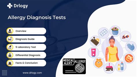 Reliable Allergy Test Diagnosis Understand And Find Relief Drlogy