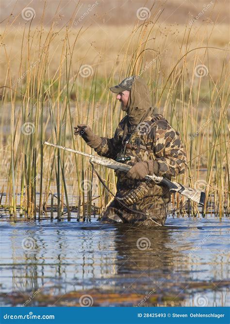 Duck Hunting Stock Image Image Of Hunt Shotgun Pond 28425493