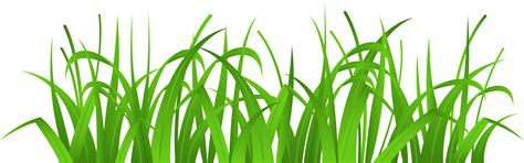 Long Grasses Png Pngtree Offers Over 8 Long Grass Png And Vector