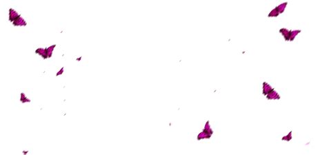 Butterfly Overlay Png