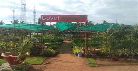 Covai Nursery And Landscape Madukkarai Plant Nurseries In Coimbatore