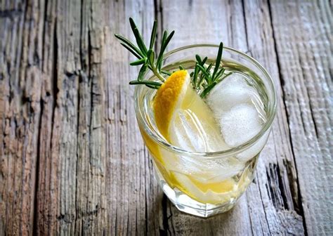 Drinks fáceis com gin para quem está aprendendo Arapuru Gin em Drinks receitas