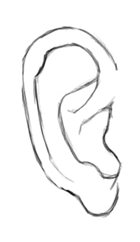 We did not find results for: Ear Outline Coloring Pages : Kids Play Color in 2020 | Coloring pages, Ear, Outline drawings