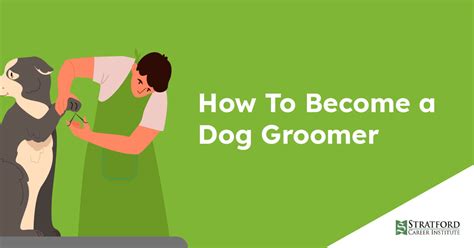 How To Become A Dog Groomer Stratford Career Institute Blog