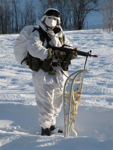 Military Winter Camo