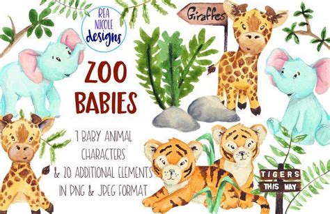 Zoo Babies | Zoo babies, Baby animals illustration, Baby animals