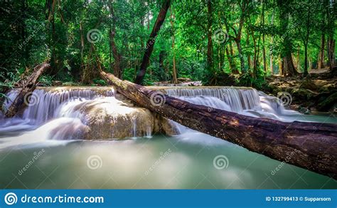 Waterfall In Thailand Stock Image Image Of Nature Thailand 132799413