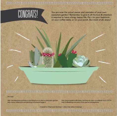 They can even be grown as far north as usda zone 4. Pin by Wanda Silva on Identificación de cactus | Congrats ...