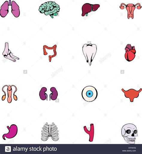 Organs Icons Set In Cartoon Style Isolated On White Background Vector