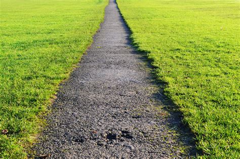 Path And Lawn Free Stock Photo Public Domain Pictures