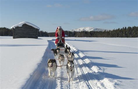 Husky Safaris And Lapland Dog Sledding Holidays