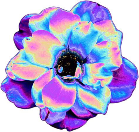 Holo Holographic Tumblr Vaporwave Aesthetic Flower - Aesthetic Tumblr ...