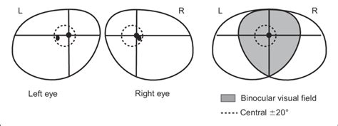 1 The Normal Binocular Visual Field Approximately 1208 In Horizontal