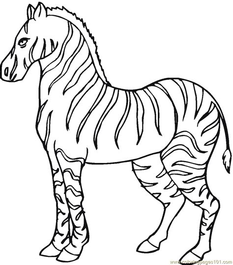 Zebra without stripes coloring page. Zebra?s=zebra Colouring Pages - Coloring Home