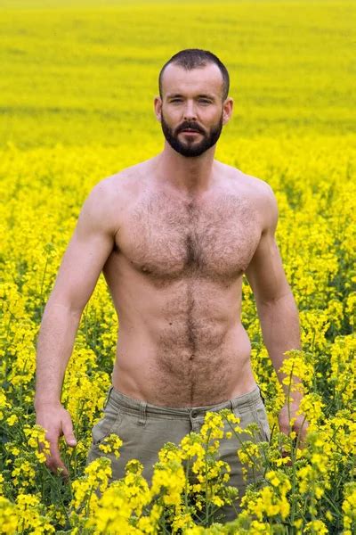 Sexy Shirtless Man Standing Barn Wheelbarrow Stock Photo By Wernerimages