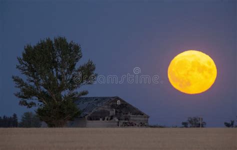 Prairie Full Moon Stock Image Image Of Full Rural 205919557