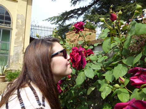 Delightful Smelling Roses Italy Rose Amazing