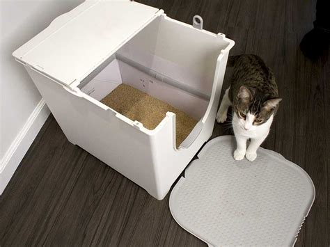 Best Litter Box For Cats That Spray Onlyvegg