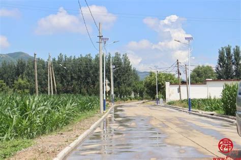 普集街道乡村振兴大比武中的“繁花似锦 万物并秀” 记者直击 舜网新闻