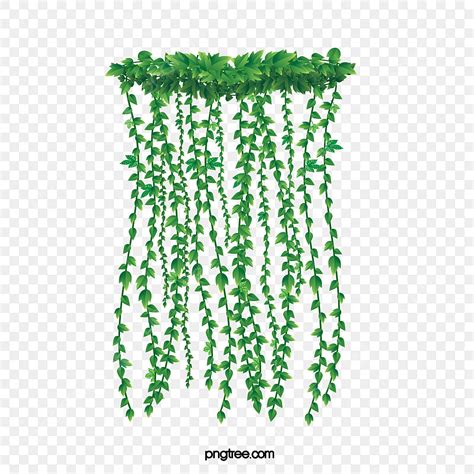 Hanging Plants Vector Png Almost Files Can Be Used For Commercial