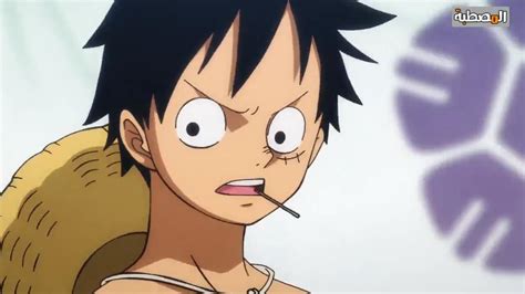 One Piece أنمي ون بيس الحلقة 903 مترجمة موقع المصطبة