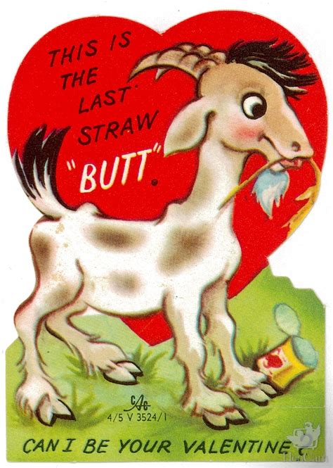 Vintage Goat Valentine Hencam
