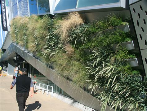 Ballotpedia provides comprehensive coverage of the 100 largest cities in america by population. Golden 1 Center LiveWall - Greenroofs.com