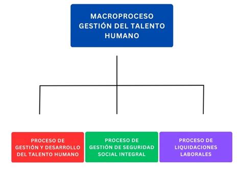 Organigrama Del Macroproceso Gestión Del Talento Humano Y Sus Procesos
