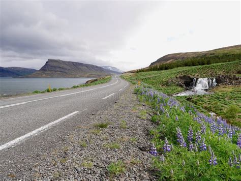 Scenic Icelandic Road At Hvalfjordur Fossarett Waterfall With Blue
