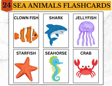 Sea Animals Flashcards Aquatic Marine Water Ocean Preschool