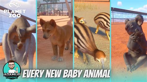 Planet Zoo All The New Baby Animals And Animations Australia Dlc