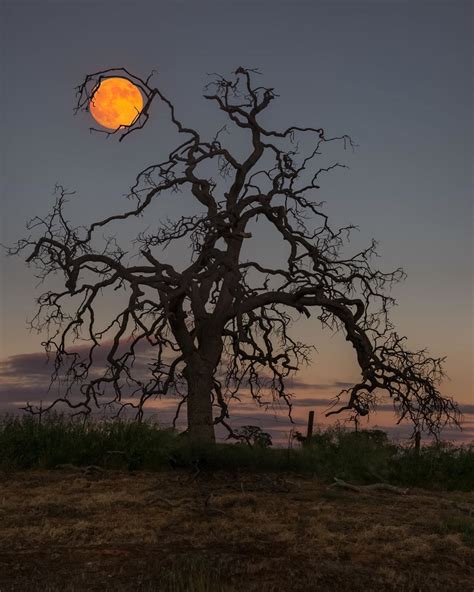 Eric Houck On Instagram Holding The Moon This Was Done In Two Shots