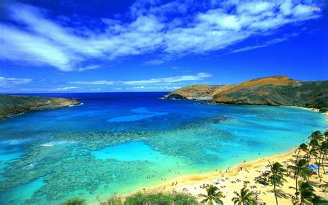 Free Download Blue Sky On Hawaii Beach Wallpaper Hd 13113 Wallpaper