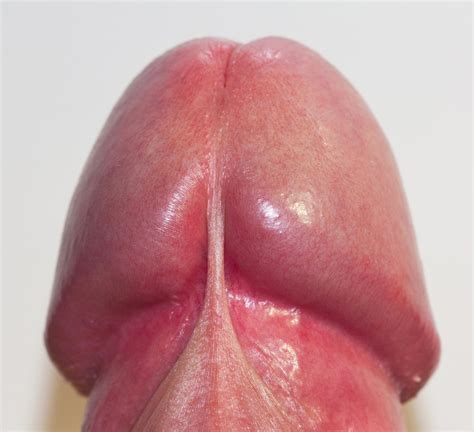Head In Pussy Close Up Glans Penis
