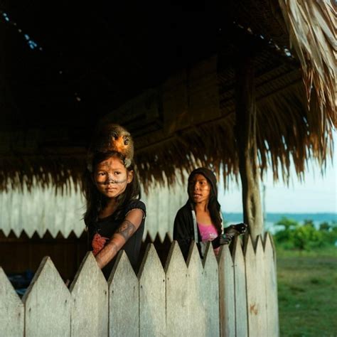 ギャラリー：アマゾン先住民、ダム建設で消える暮らし 写真19点 ナショナルジオグラフィック日本版サイト