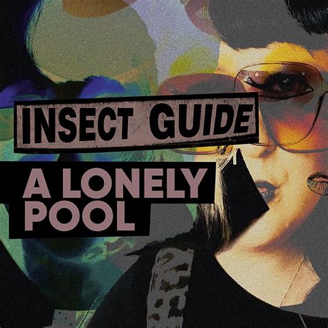 Music Insect Guide