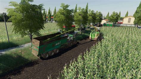 Big Rice Map V1000 Mod Farming Simulator 19 Mod Fs19