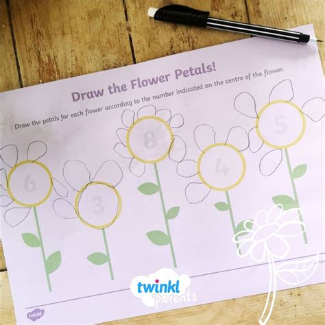 Draw the Flower Petals Counting Worksheet | Math games for kids, Petals