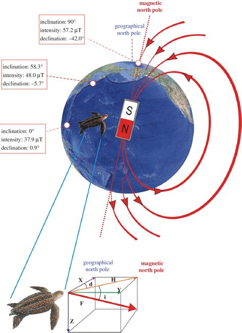 Graphical Representation Of The Earths Magnetic Field And Of The