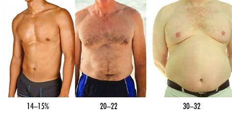 Body Fat Comparison Chart