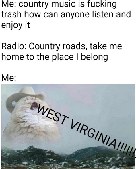 Morgantown, wv based cat rescue ~ one lady's passion to help save. WEST VIRGINIA - image - memes - Reddit