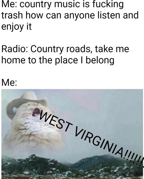 Saddington 2e @hayley hud sad cowboy @saddestcowboy_ cultural impact: WEST VIRGINIA - image - memes - Reddit